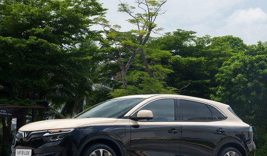 Phân khúc D-SUV ganh đua công nghệ, VinFast VF 8 nổi trội nhất nhờ nhiều tính năng chưa từng có