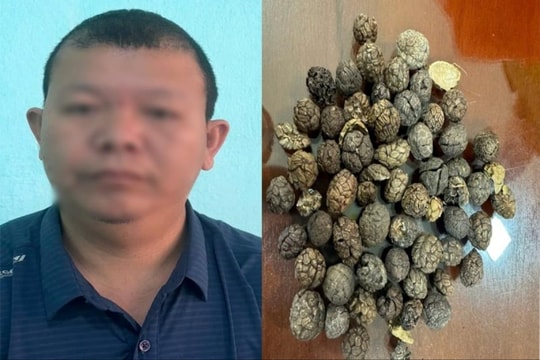 Tạm giam đối tượng buôn lậu 17 tấn dược liệu qua biên giới