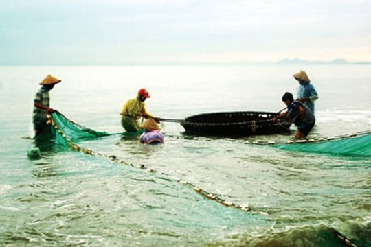 Quảng Ngãi cấm khai thác thủy sản ven bờ tại 2 khu vực