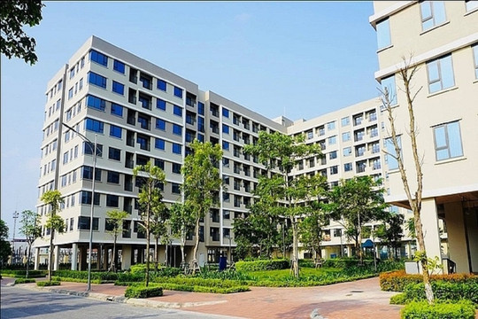 Hà Nội: Giá thuê nhà ở xã hội vượt khả năng của người thu nhập thấp
