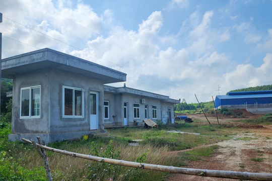 Thúc tiến độ Nhà máy sản xuất phân bón hữu cơ vi sinh ươm giống cây trồng