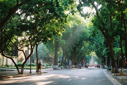 Thời tiết ngày 31/10/2024: Khu vực miền Trung có nơi mưa to