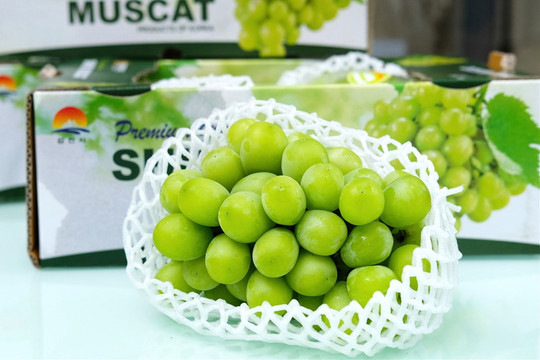 Nho sữa Trung Quốc nhập khẩu vào Việt Nam có "sạch"?
