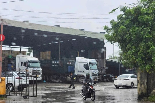 Khám xét trụ sở Công ty cổ phần vận tải lớn ở miền Trung