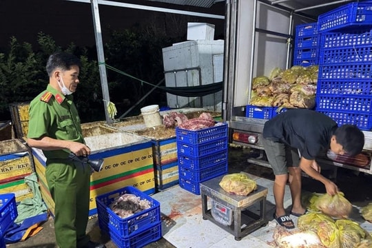 Phát hiện đường dây cung cấp thịt heo bẩn cho các cơ sở chế biến