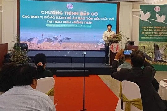 Tổng hợp tin tức sáng 2/11 tại ĐBSCL