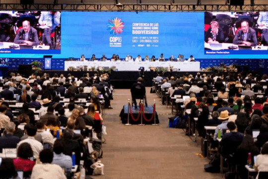 COP 16 không đạt được thỏa thuận tài trợ cho đa dạng sinh học