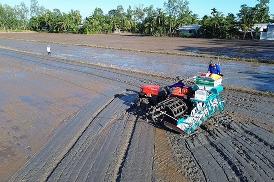 Tổng hợp tin tức sáng 3/11 tại ĐBSCL