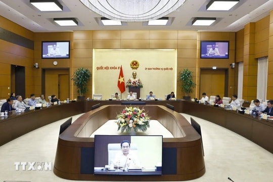 Cần hoạch định rõ chính sách khuyến khích đầu tư, ưu đãi thuế thu nhập DN