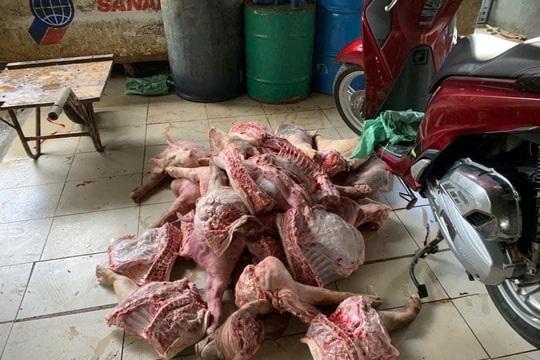 Bắt quả tang cơ sở giết mổ heo bệnh, heo chết tại Biên Hòa