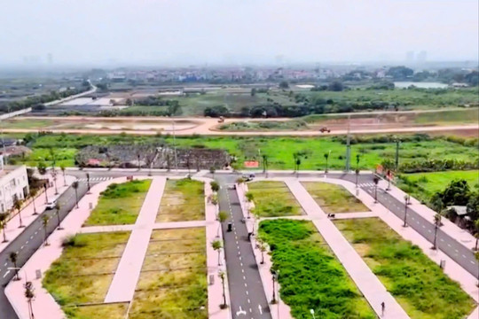 Giá khởi điểm thấp trong cuộc đấu giá 20 thửa đất huyện Hoài Đức