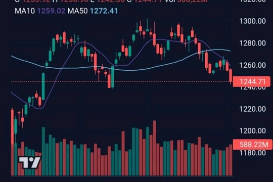 VN-Index thủng mốc 1.250 điểm