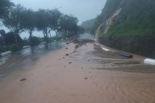 Đà Nẵng cấm phương tiện lưu thông lên bán đảo Sơn Trà