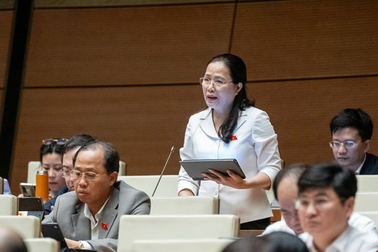 Không để tình trạng vừa được cấp phép, đã phải xin gia hạn khai thác khoáng sản