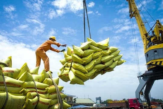 Việt Nam trúng thầu xuất khẩu hơn 80.000 tấn gạo cho Indonesia