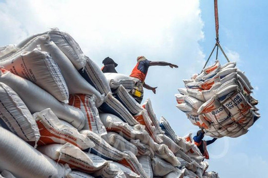 Giá gạo thế giới lao dốc, Việt Nam tăng nhập khẩu gạo cao gấp 3,3 lần