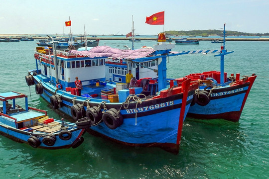 Phải xử lý dứt điểm tàu cá "03 không" trước 20/11/2024