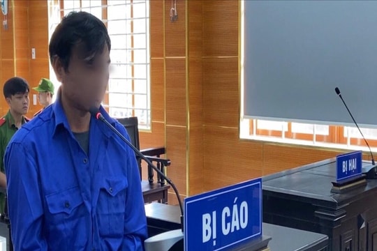 Sản xuất phân bón giả bán ra thị trường, giám đốc một doanh nghiệp lĩnh án