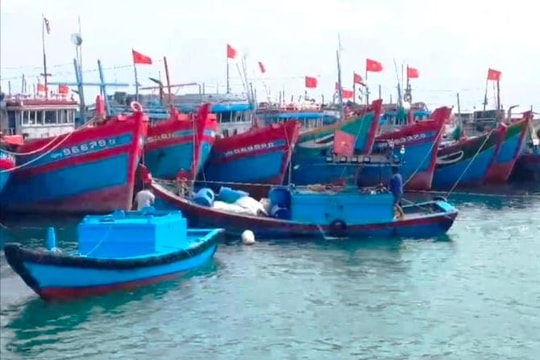 Quảng Ngãi: Cấm tàu thuyền ra biển hoạt động khi có gió cấp 6 trở lên