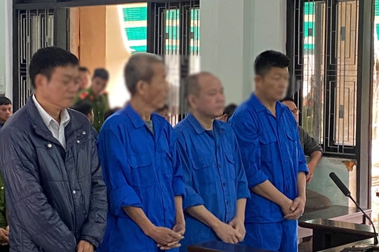 Xét xử vụ án tham ô của 'bộ sậu' Công ty 878