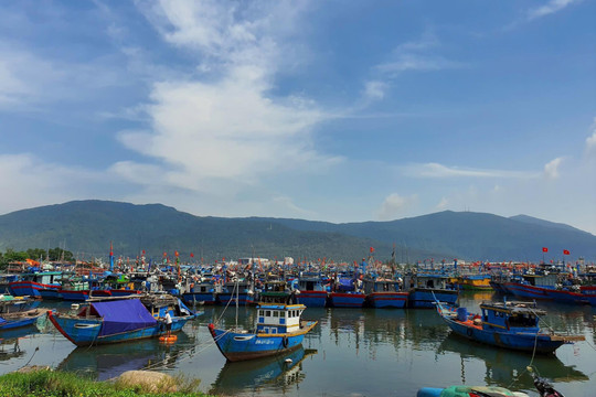 Đà Nẵng chủ động ứng phó với Bão gần biển Đông (cơn bão YINXING)