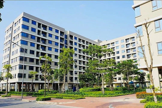 Tỉnh Nghệ An giao 18.478,3m² đất ở đô thị để xây dựng khu nhà ở xã hội