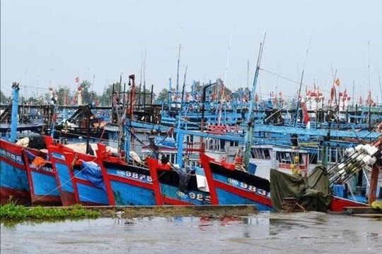 Vướng mặt bằng, dự án hơn 450 tỷ đồng thi công ì ạch