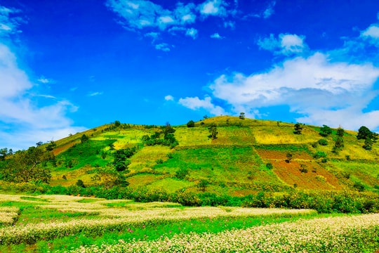 Về Chư Đăng Ya – ngắm hoa dã quỳ khoe sắc