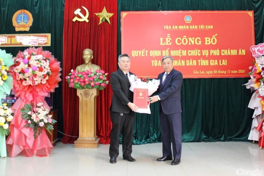 Bổ nhiệm Phó Chánh án TAND tỉnh Gia Lai