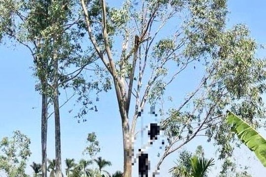 Người đàn ông tử vong trong tư thế treo cổ