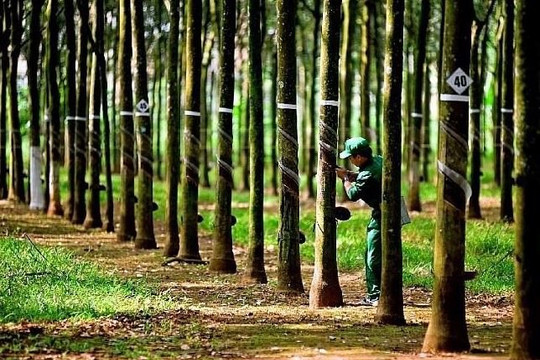 Nhiều doanh nghiệp nhà nước báo lãi tăng mạnh trong 9 tháng đầu năm 2024