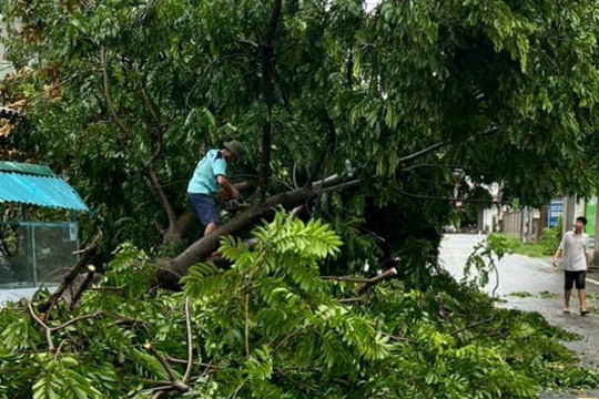 Lập Thạch, Vĩnh Phúc tập trung khắc phục hậu quả bão số 3