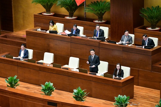 Ngoài người dùng, tính toán xử lý cả chủ mạng xã hội nếu có tin xấu, tin giả