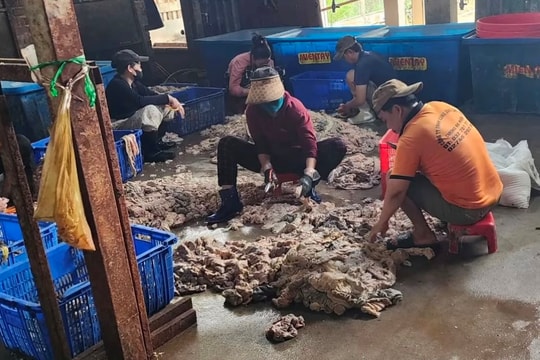 Phát hiện cơ sở chế biến mỡ heo “bẩn” quy mô lớn tại Biên Hòa