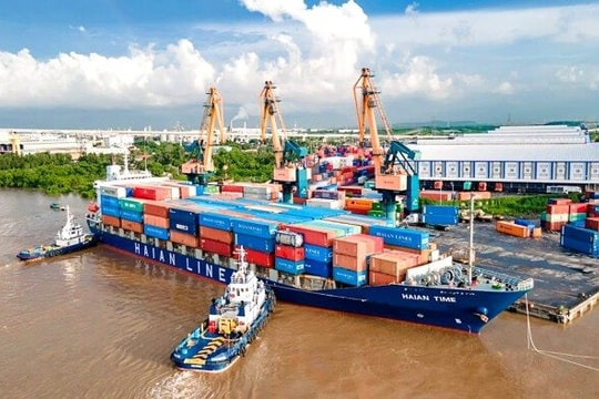 Nhiều doanh nghiệp vận tải biển mở rộng đội tàu, củng cố thị phần