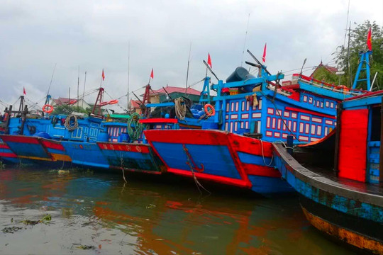 Cần đảm bảo nơi neo đậu, tránh trú bão cho tàu thuyền ngư dân