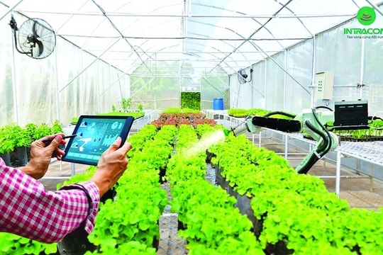 Agribank đẩy mạnh cho vay nông nghiệp công nghệ cao