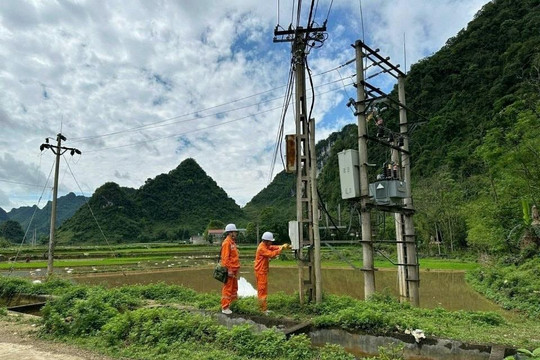 EVNNPC đảm bảo cung cấp điện ổn định phục vụ phát triển kinh tế xã hội