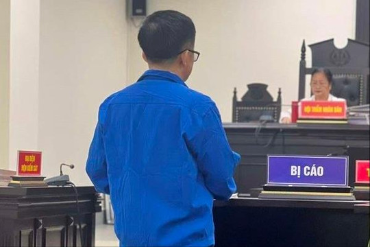 Chủ tịch Công ty Thái Bình Dương lĩnh 12 năm tù