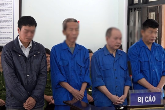 Trả hồ sơ điều tra bổ sung vụ tham ô ở công ty 878