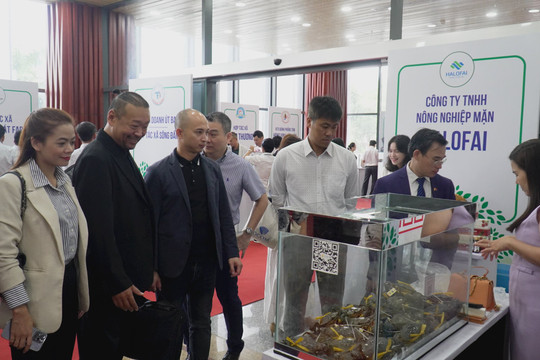 Hơn 100 doanh nghiệp trong và ngoài nước tìm kiếm đối tác tại Cà Mau