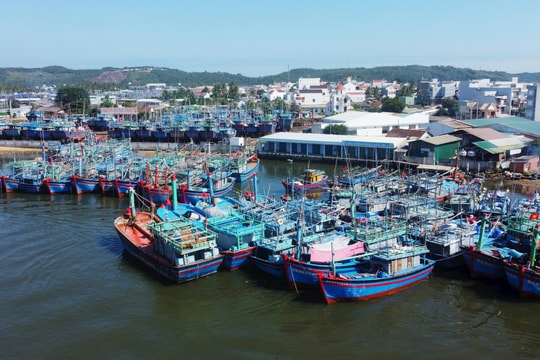 Bình Định: Quyết liệt xử lý tàu cá vi phạm chống khai thác hải sản bất hợp pháp, chấm dứt tàu cá “3 không”