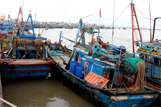 Các tỉnh, thành phố ven biển chủ động ứng phó bão số 9 (MAN-YI)