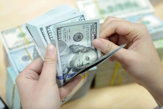 Việt Nam không thao túng tiền tệ