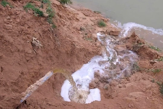 Công ty nuôi lợn xả thải vượt quy chuẩn bị phạt hơn 400 triệu đồng