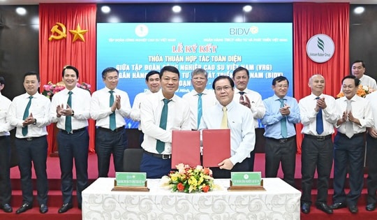 BIDV khẳng định vị thế doanh nghiệp có môi trường làm việc tốt nhất Việt Nam