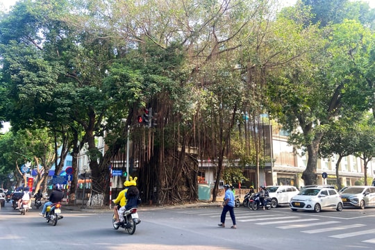 Thời tiết ngày 19/11/2024: Hà Nội lạnh về đêm và sáng sớm