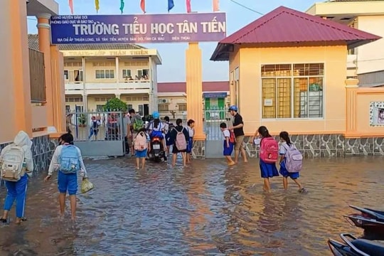 Triều cường dâng cao làm nhiều điểm trường tại Cà Mau ngập sâu