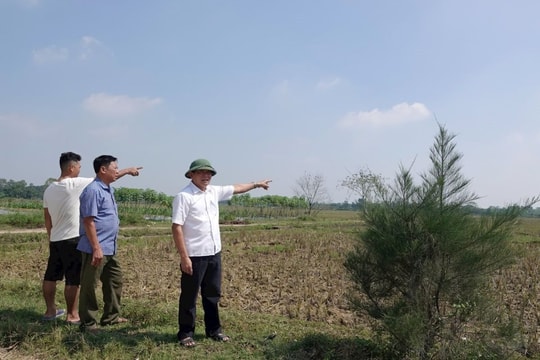 Xem xét toàn diện việc quy hoạch bãi rác tại xã Yên Lạc