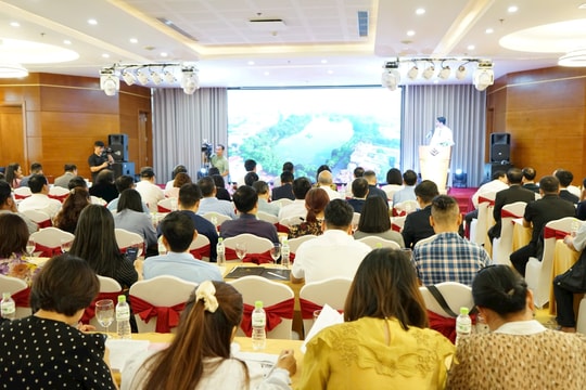 Hội nghị triển khai Chỉ thị 30/CT-TTg ngày 29/8/2024 của Thủ tướng Chính phủ